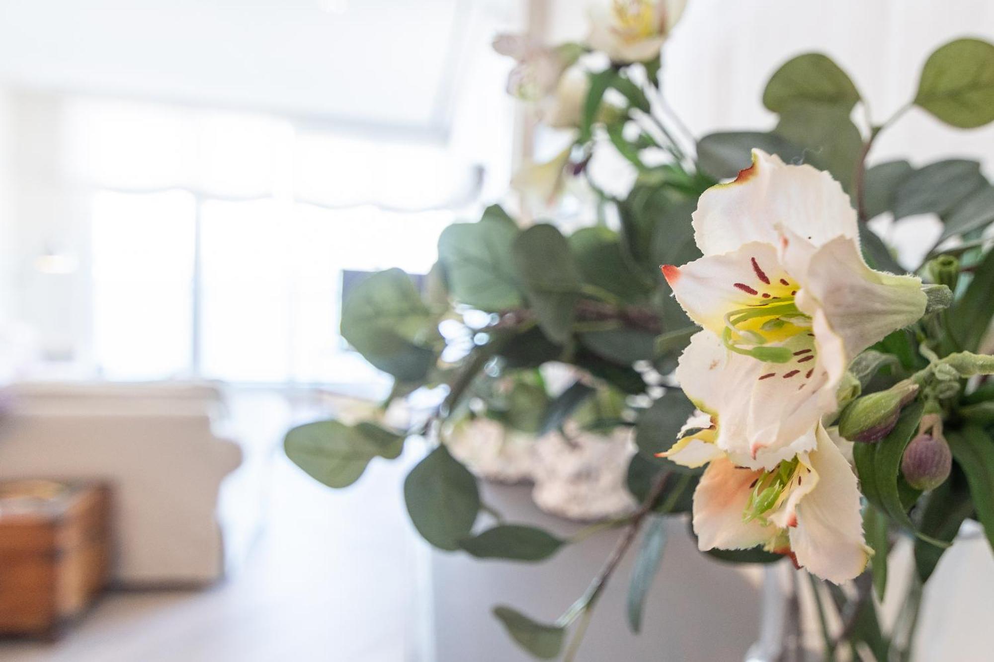 Phoenix Luxury Loft Cádiz Eksteriør bilde